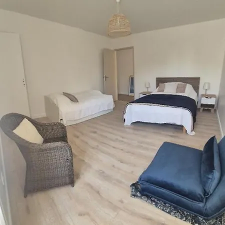 Maison Moderne, Animaux Admis - 8 Pers. - Fr-1-879-30